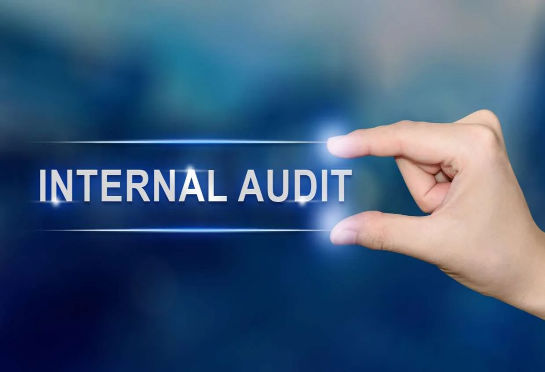 internal_audit-2.jpg_imresizer (1) internal_audit-2.jpg_imresizer (1)