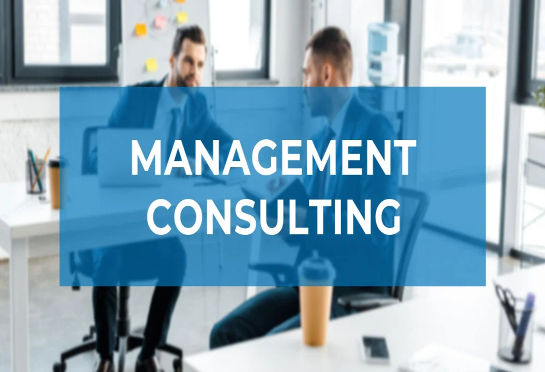 management-consultin..._imresizer